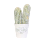 Planta Artificial 1 un