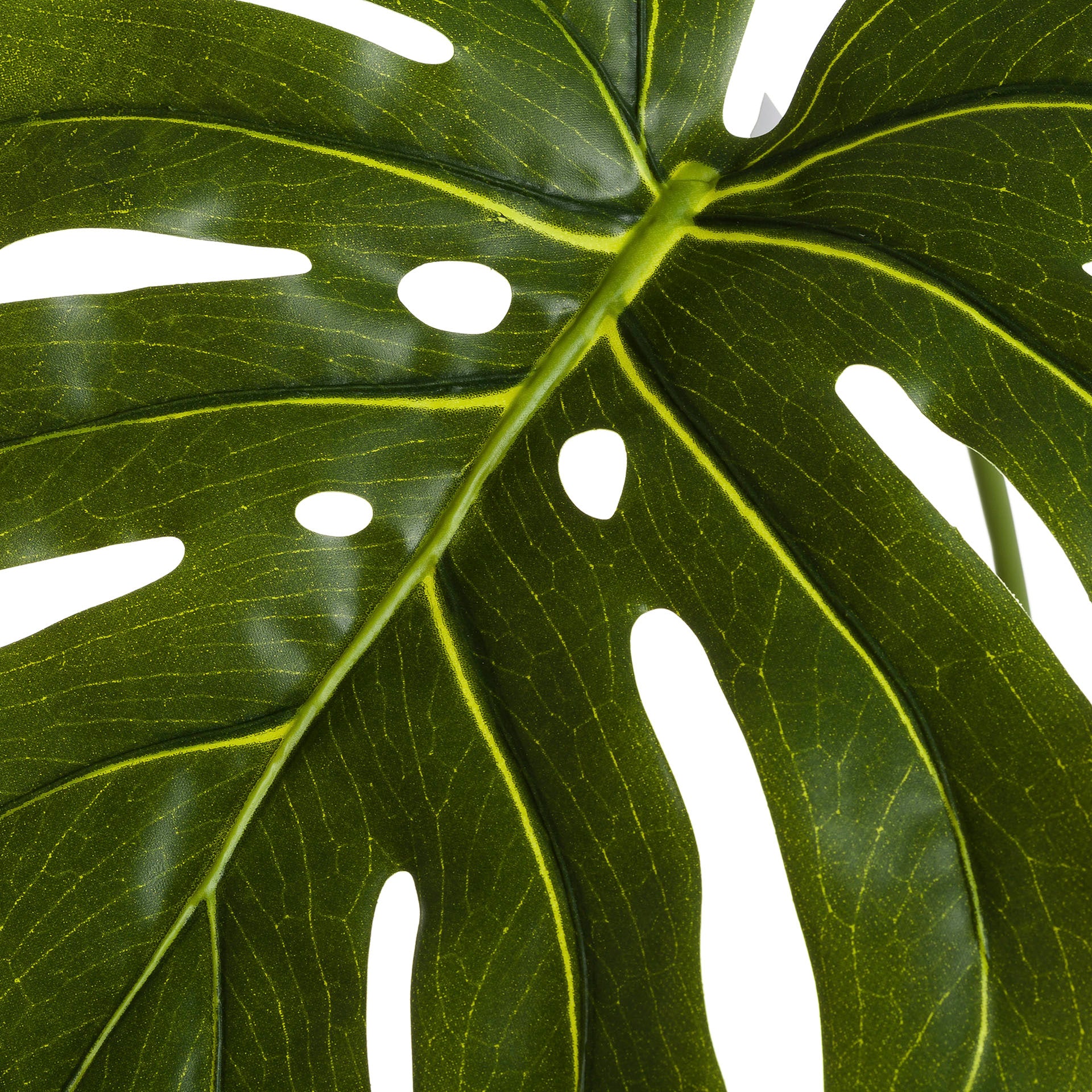 hoja artificial verde