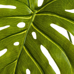 Folha Artificial Verde