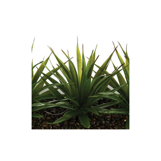 HKH Centro de Mesa Aloe Vera