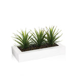HKH Centro de Mesa Aloe Vera