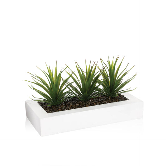 HKH Centro de Mesa Aloe Vera