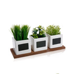 HKH Set 3 Macetas Hierbas Artificiales con Base