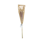 HKH Conjunto de 6 Pampas Naturais Decorativas 60 cm