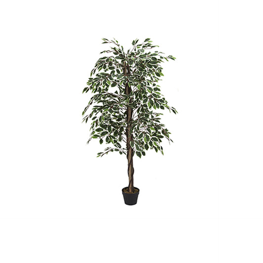 HKH Ficus Planta Artificial Decorativa