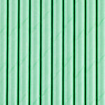 Pack 10 Palhas Verde Menta Papel 19,5 cm