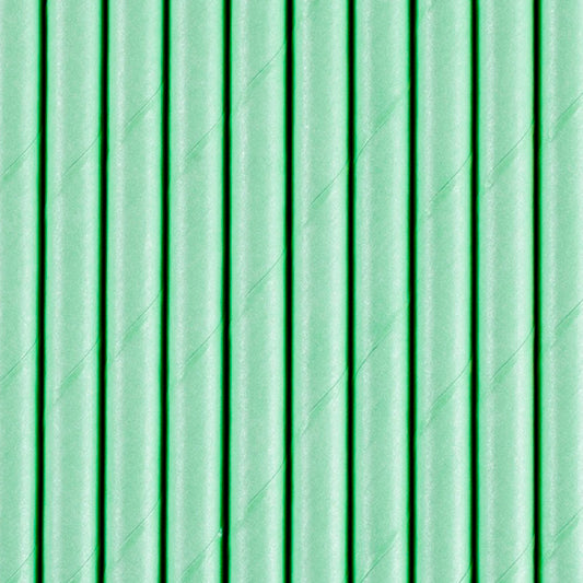 Pack 10 Palhas Verde Menta Papel 19,5 cm