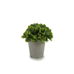 Vaso Cinza com Planta Artificial Folhas Curtas