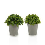 Vaso Cinza com Planta Artificial Folhas Curtas
