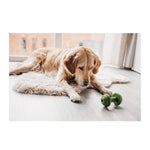 Beeztees Brinquedo para Cão Sumo Halter Verde