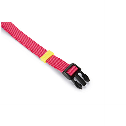 Beeztees Collar para Perro Nylon Rosa L