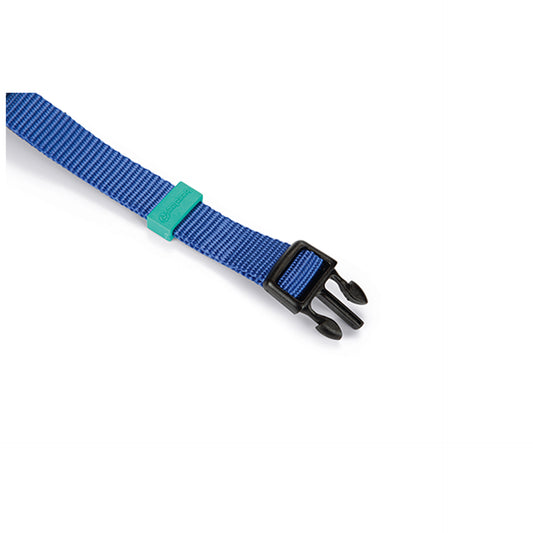 Beeztees Coleira para Cão Nylon Azul M