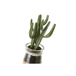 HKH Artificial Cactus Florero Redondo Vidrio