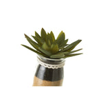 HKH Artificial Cactus Florero Redondo Vidrio