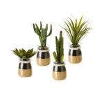 HKH Artificial Cactus Florero Redondo Vidrio