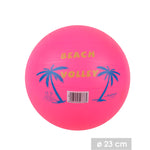 Bola de Vólei de Praia