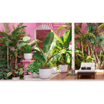 Artevasi Vaso Havana Tropical 50 cm Granito