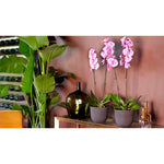 Artevasi Vaso Havana Waves 30 cm Linho