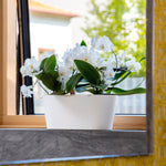 Artevasi Floreira Porto 30 cm Verde Seco
