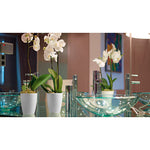 Artevasi Vaso Fiji Orquídea 12,5 cm Transparente