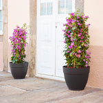 Artevasi Vaso Capri Campana 25 cm Bege Escuro