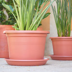 Artevasi Plato Capri Redondo 18 cm Verde Oliva