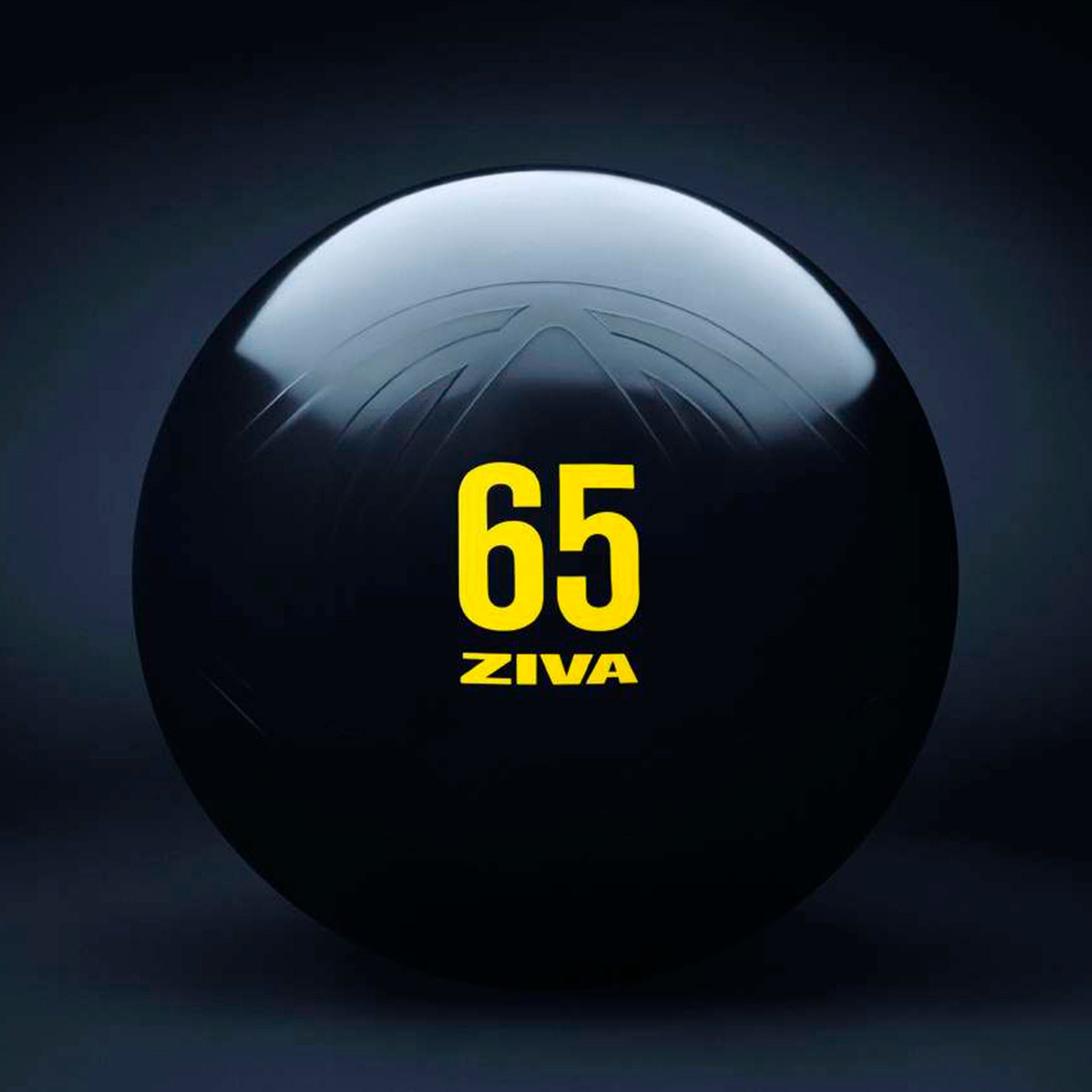 Ziva Essential Pro Fitball 65 cm 1 kg