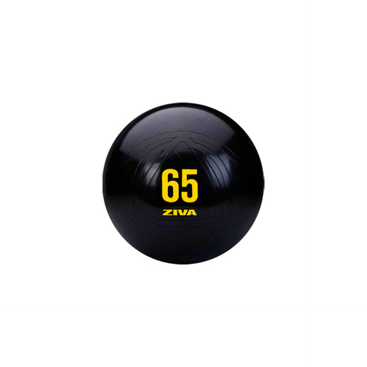 Ziva Essential Pro Fitball 65 cm 1 kg